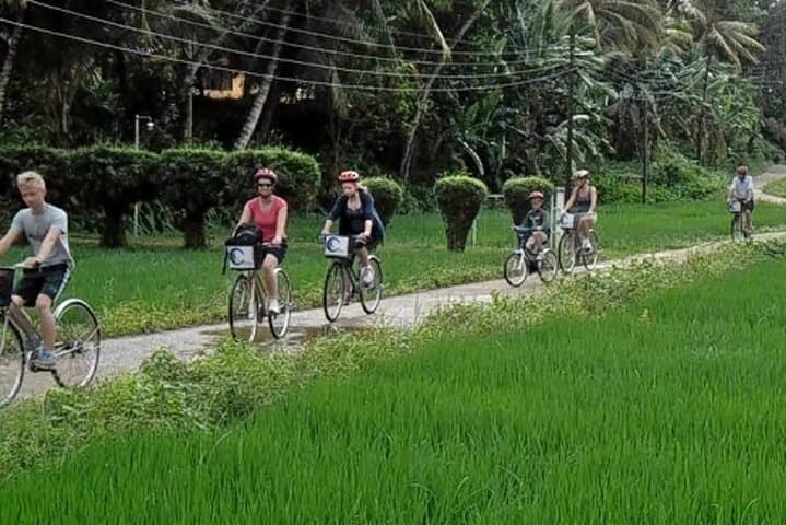 Cycling the Bentota Countryside: Paddy Fields, Cinnamon Gardens & Temple Visits photo 5