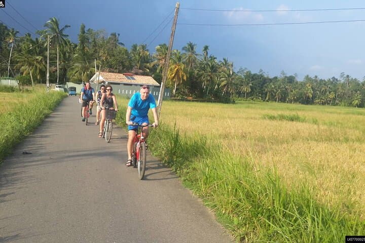 Cycling the Bentota Countryside: Paddy Fields, Cinnamon Gardens & Temple Visits photo 6