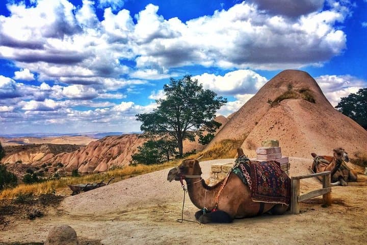 Cappadocia Red Tour: Uçhisar, Zelve, Paşabağı & Avanos Day Trip photo 3