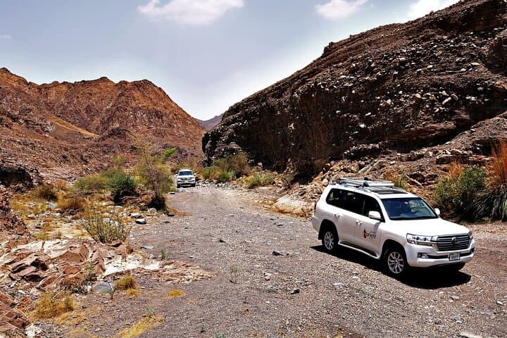 Wadi Shawka Private 4x4 Desert Drive: Dune Bashing, Sandboarding & Natural Pools