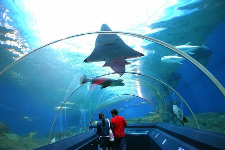 Colombo Private Day Tour: Zoo, Aquarium, Independence Square & Galle Face Beach photo 2