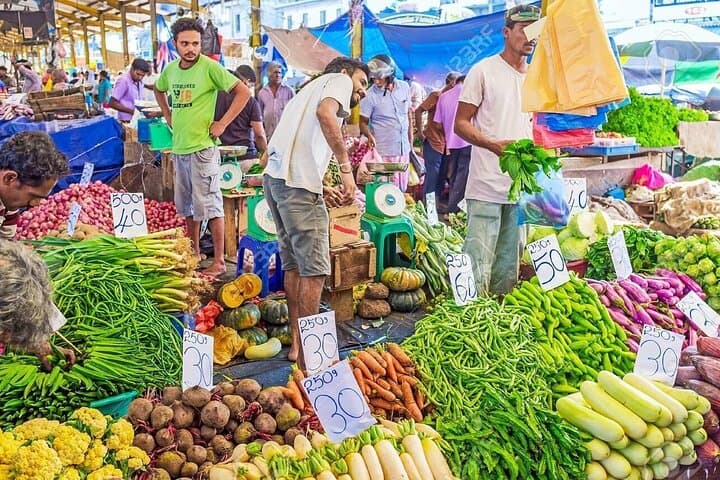 Colombo Private Day Tour: Zoo, Aquarium, Independence Square & Galle Face Beach photo 4