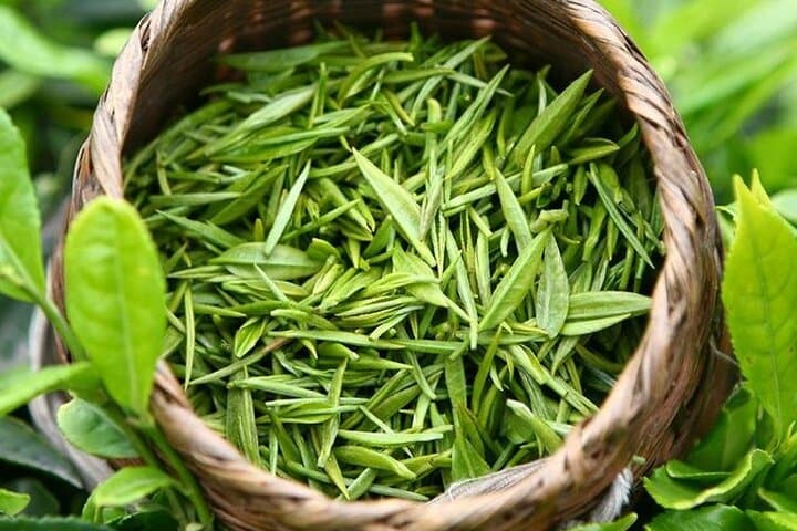Turn a Hangzhou Layover into a Full-Day West Lake & Tea Plantation Experience photo 6