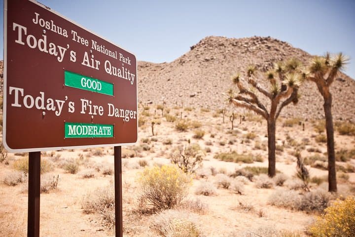 Hidden Valley Joshua Tree Creative Scavenger Hunt — Remote Host photo 3