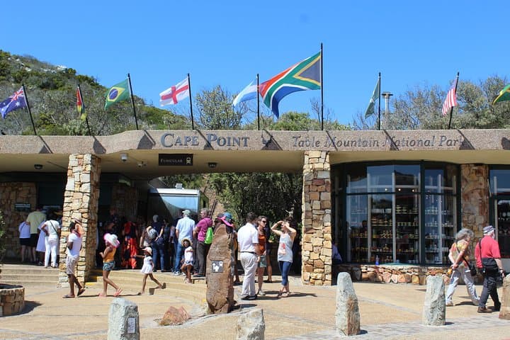 Accessible Cape Point & Boulders: Full-Day Cape of Good Hope Tour from Cape Town
