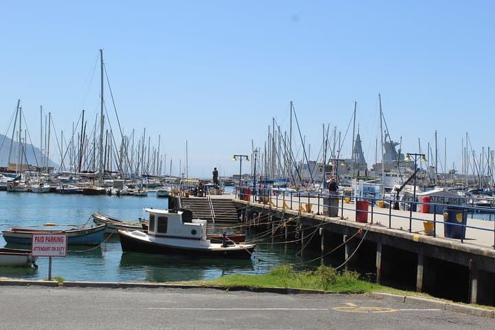 Accessible Cape Point & Boulders: Full-Day Cape of Good Hope Tour from Cape Town photo 4