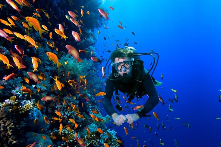 Beginner Scuba Dive at João Fernandes Beach, Búzios — Guided 30-Min Underwater Adventure