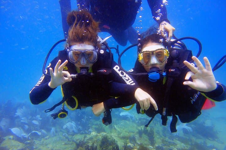 Beginner Scuba Dive at João Fernandes Beach, Búzios — Guided 30-Min Underwater Adventure photo 3