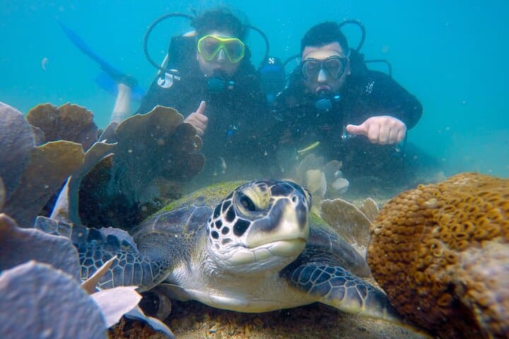 Beginner Scuba Dive at João Fernandes Beach, Búzios — Guided 30-Min Underwater Adventure photo 4