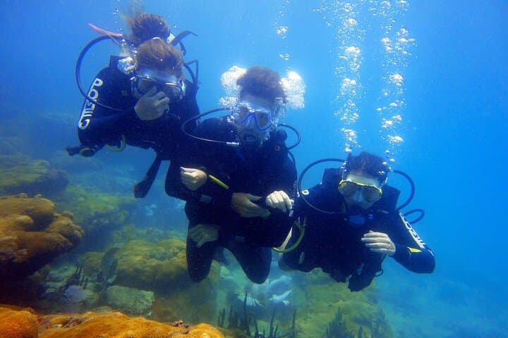 Beginner Scuba Dive at João Fernandes Beach, Búzios — Guided 30-Min Underwater Adventure photo 5
