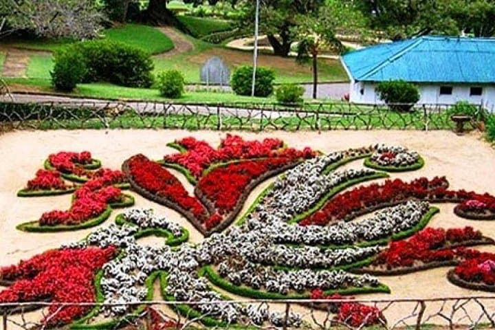 Private Kandy Day Tour: Safari, Spice Garden & Cultural Dance from Colombo photo 4