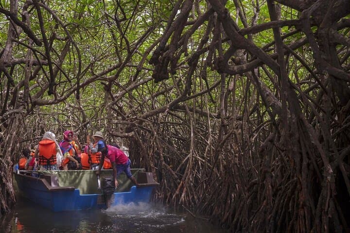Bentota Private Day Tour: Snorkeling, Mangrove Boat Ride & Kandel Viharaya