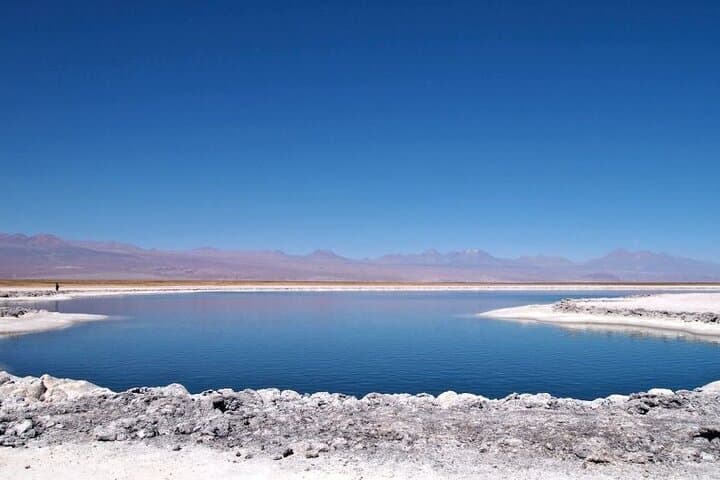 Cejar Lagoon and Ojos del Salar: Floating Lagoons Tour from San Pedro de Atacama photo 5