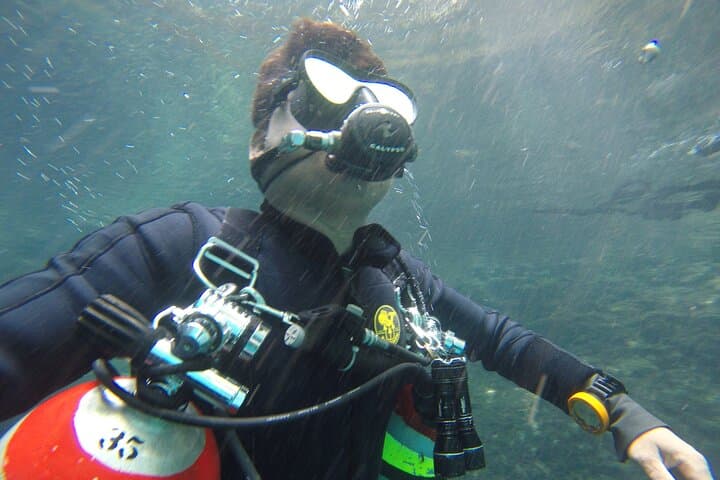 Cenotes Discovery Cave Diving: Intro Cave Scuba Near Tulum