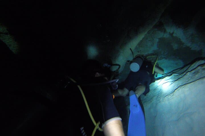 Cenotes Discovery Cave Diving: Intro Cave Scuba Near Tulum photo 4