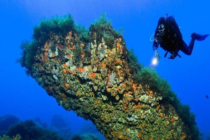 4-Day Professional PADI Diving Course in Sharm el Sheikh — Dive the Red Sea Reefs photo 1