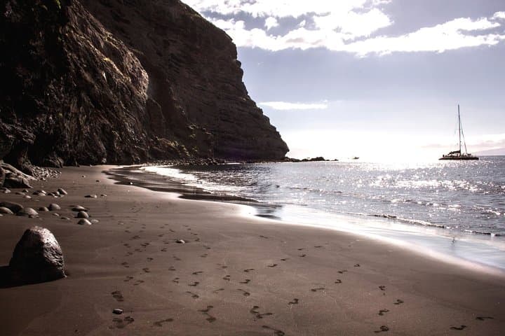 Tenerife Eco-Catamaran Whale Watching: Listen, Swim, Taste the Atlantic photo 6