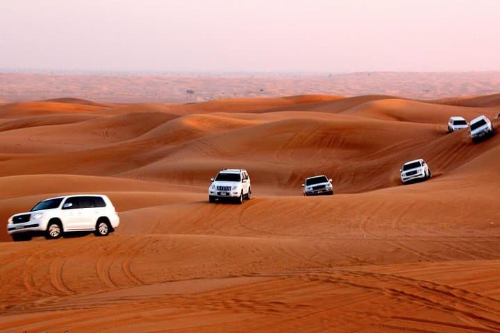 Private Morning Dubai Desert Safari: 5-Person Dune Bashing & Camel Experience