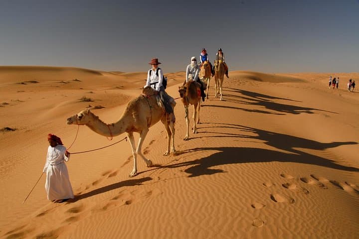 Private Morning Dubai Desert Safari: 5-Person Dune Bashing & Camel Experience photo 4