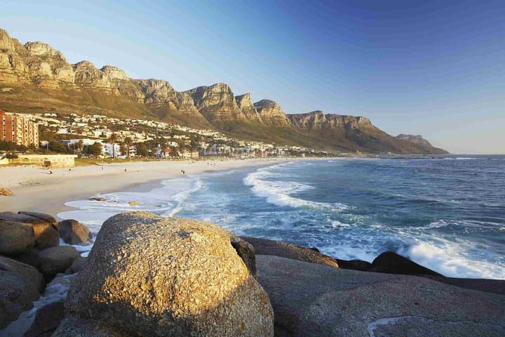 Cape Peninsula Half-Day Tour from Cape Town — Penguins, Chapman's Peak & Cape of Good Hope photo 6