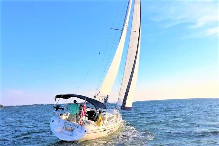 Private 2-Hour Dolphin Watching Sail from Skull Creek Marina, Hilton Head