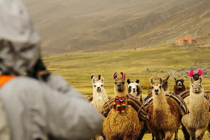 2-Day Rainbow Mountain Trek from Cusco — Vinicunca & Red Valley Camping photo 2