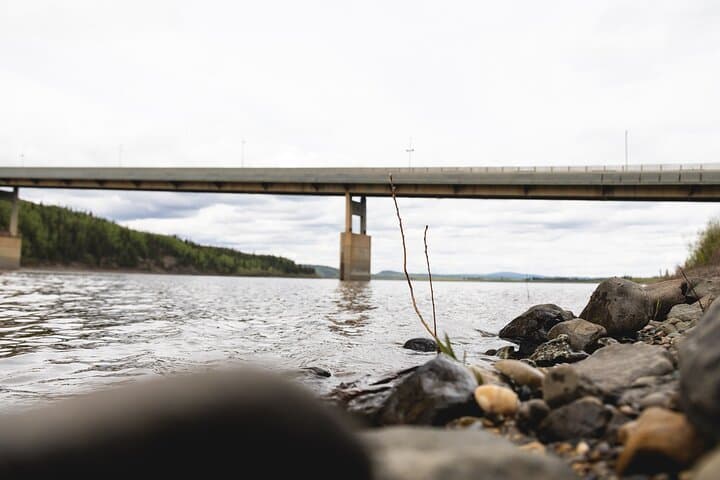 Crossing Into the Arctic Circle: A Day Tour from Fairbanks, Alaska photo 3