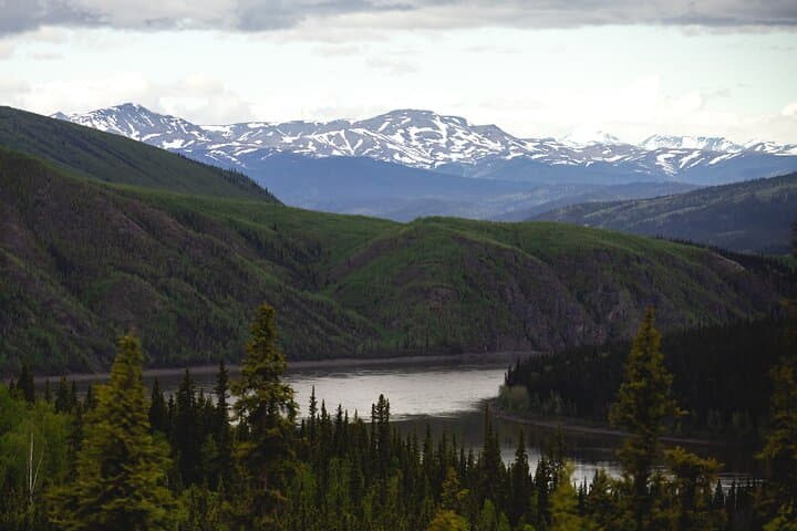 Crossing Into the Arctic Circle: A Day Tour from Fairbanks, Alaska