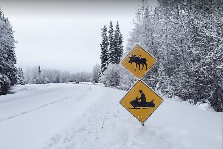 Snowmobile Adventure from Fairbanks: Explore Alaska’s Winter Wilderness photo 4