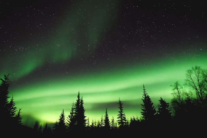 Aurora Viewing Lodge: Warm Northern Lights Experience Near Fairbanks photo 5