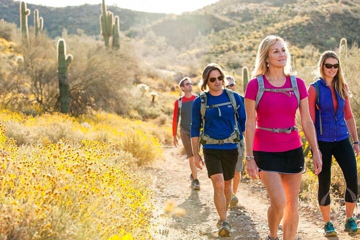 Half-Day Sonoran Desert Guided Hike in Scottsdale's McDowell Preserve