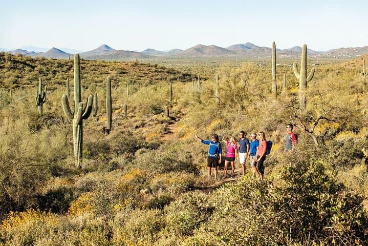 Half-Day Sonoran Desert Guided Hike in Scottsdale's McDowell Preserve photo 3