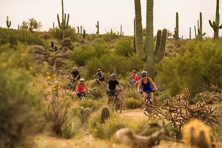Half-Day Sonoran Desert Mountain Bike Tour in McDowell Sonoran Preserve photo 6