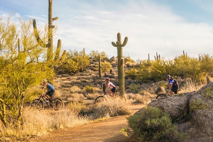 Half-Day Sonoran Desert Mountain Bike Tour in McDowell Sonoran Preserve photo 3
