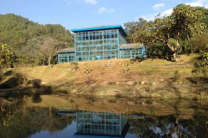 Godawari to Phulchowki Half-Day Nature Hike — Kathmandu Valley Forest Summit photo 2