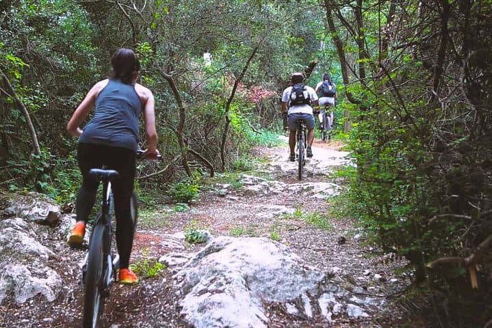 Urban Jungle Trail: Sunrise Cycling and Kelaniya Temple Ride from Colombo photo 6