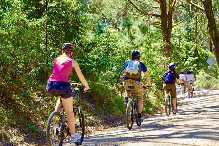 Urban Jungle Trail: Sunrise Cycling and Kelaniya Temple Ride from Colombo