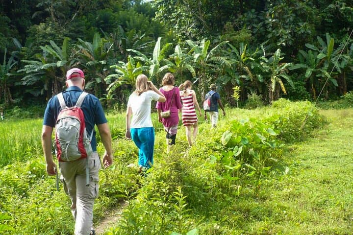 Hike to Peacock Hill from Kandy: Panoramic Summit Views over Pussellawa