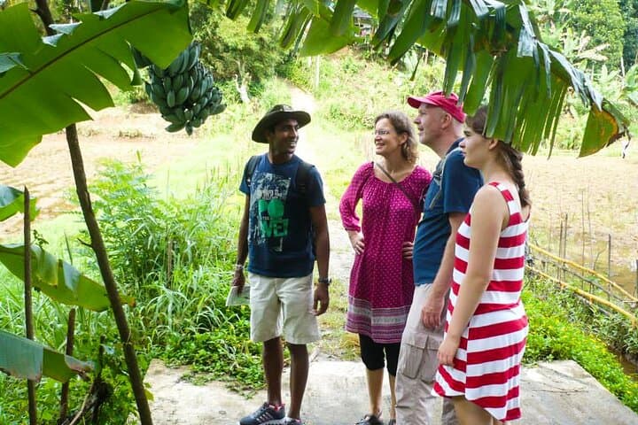 Kandy Countryside Walk: Light-Trekking, Temples & Tuk‑Tuk Routes Around Kandy photo 4