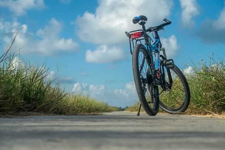 Hoi An Countryside Half-Day: Tra Que Farm, Bamboo Basket Boat & Bike Tour photo 3