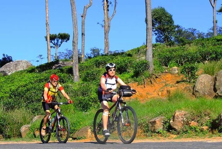 bike-hanthana-tea-plantation-kandy-cycling-tour photo 4