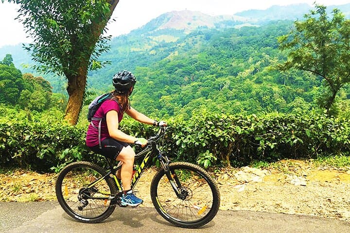 bike-hanthana-tea-plantation-kandy-cycling-tour photo 5
