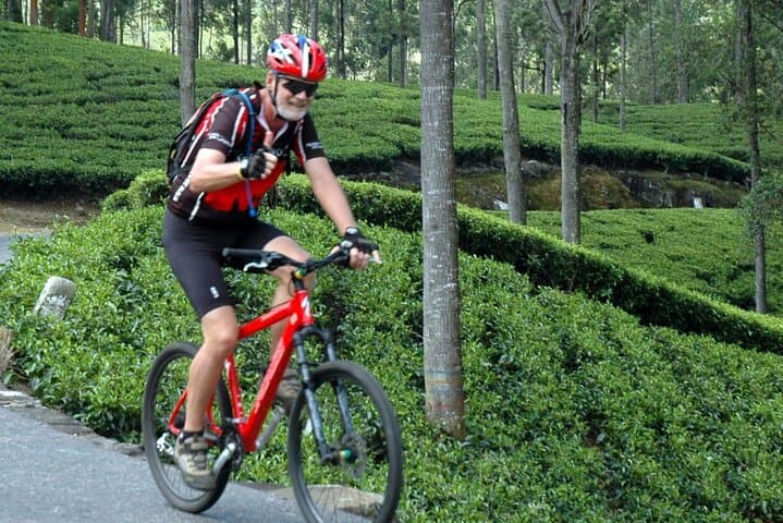 bike-hanthana-tea-plantation-kandy-cycling-tour photo 6