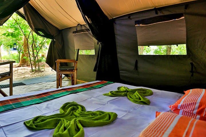 Wild Night: One-Night Safari Camping in Wilpattu National Park, Sri Lanka photo 4