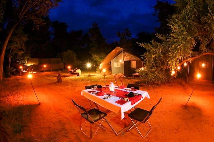 Wild Night: One-Night Safari Camping in Wilpattu National Park, Sri Lanka photo 5