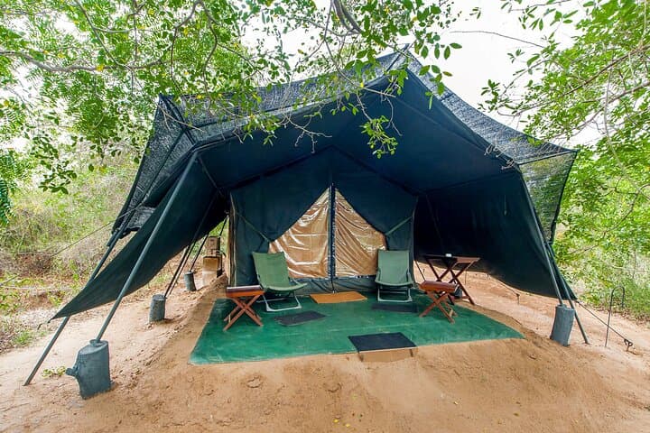 Wild Night: One-Night Safari Camping in Wilpattu National Park, Sri Lanka