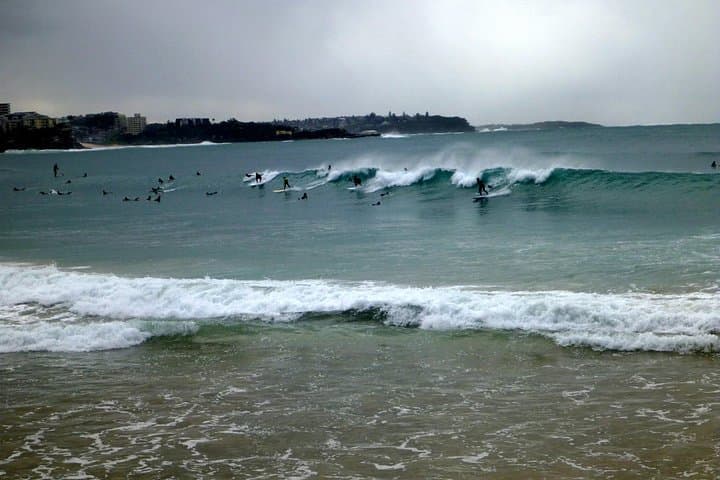 Explore Sydney's Northern Beaches: Beaches, Bushland & Wildlife Day Tour photo 2