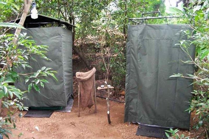 Two-Night Camping in Wilpattu National Park — Overnight Safari & Wildlife Expedition photo 3