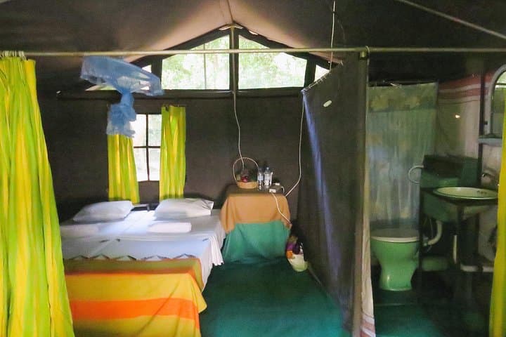 Two-Night Camping in Wilpattu National Park — Overnight Safari & Wildlife Expedition photo 4