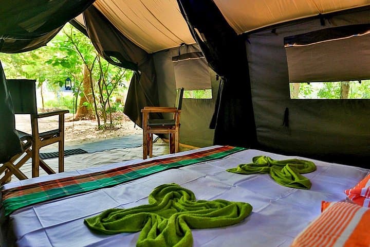 Two-Night Camping in Wilpattu National Park — Overnight Safari & Wildlife Expedition photo 1